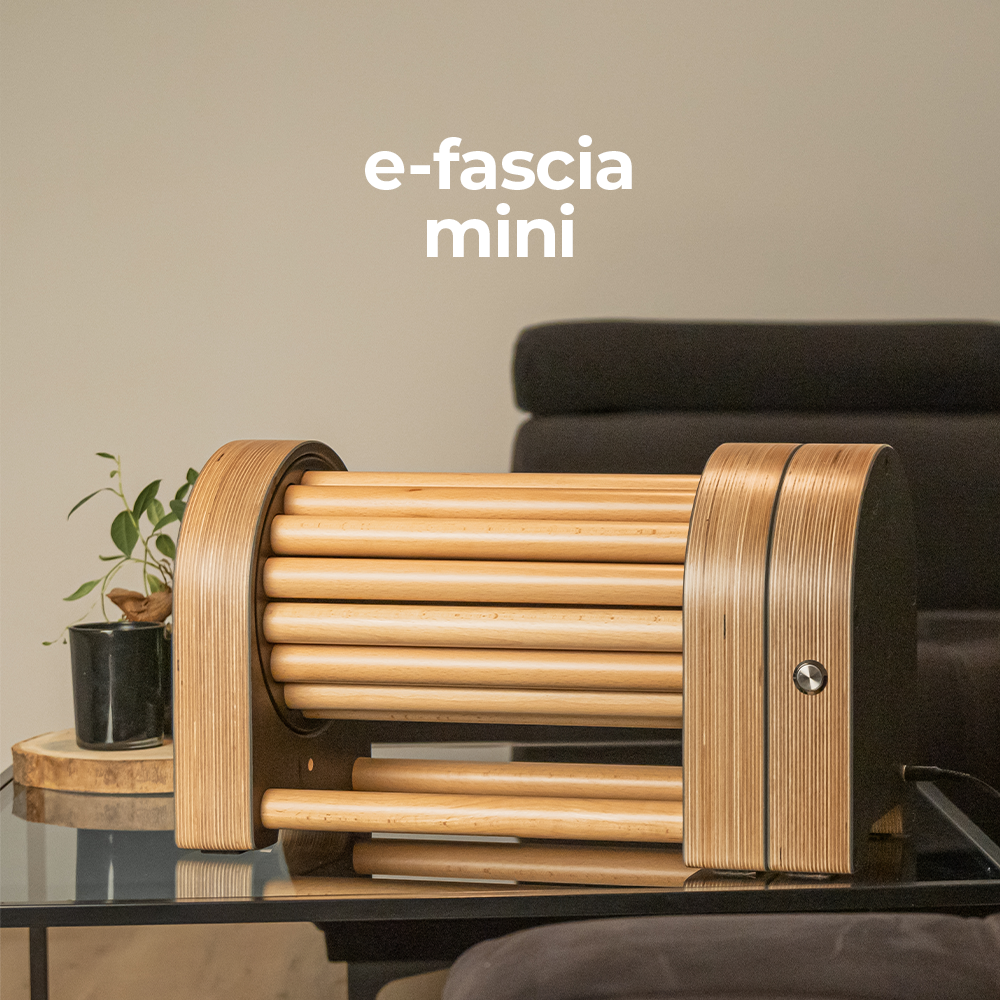 HARMONY für Zuhause -  e-fascia-mini und WOODwave HOME